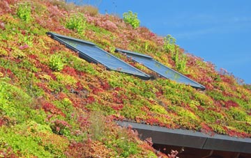 Kirmond Le Mire living roof systems