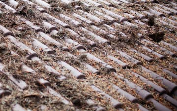 Kirmond Le Mire roof cleaning companies